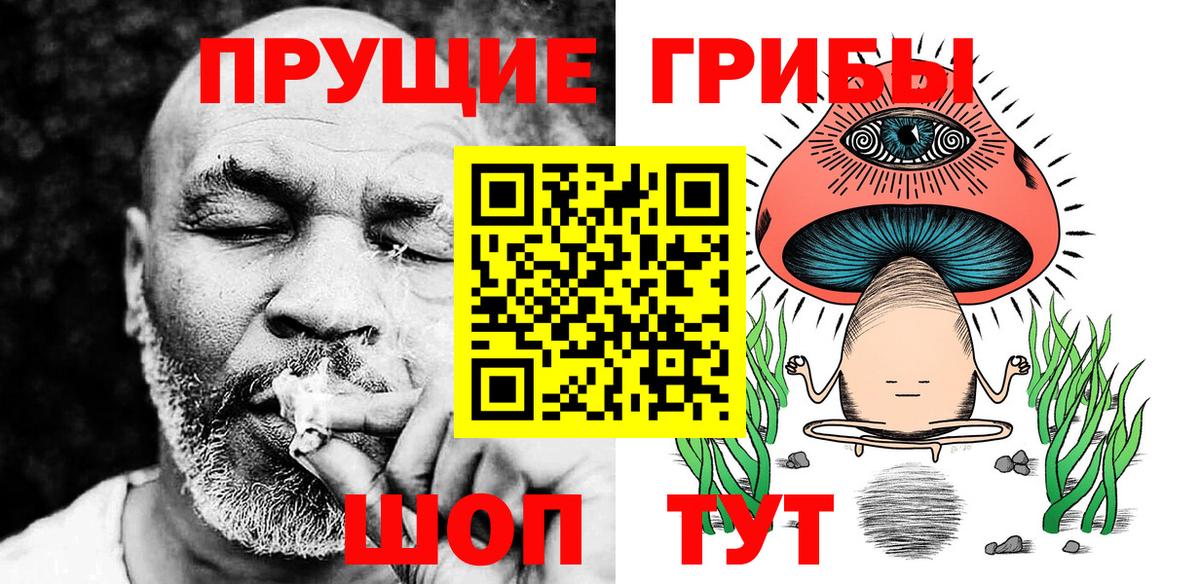 Галлюциногенные грибы GOLDEN TEACHER  Галлюциногенные грибы Psilocybine cubensis  Балашиха  Вход с VPN 