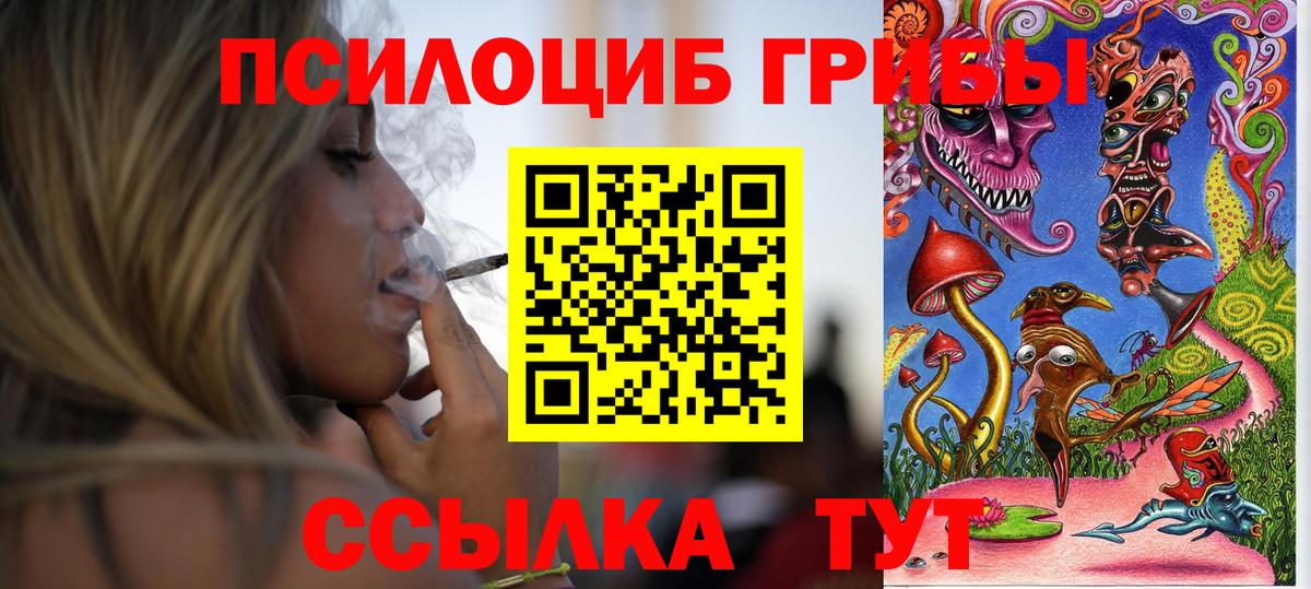Галлюциногенные грибы прущие грибы Балашиха
